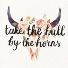 TAKE THE BULL BY THE HORNS